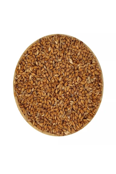 Süpürge Otu Tohumu 100 Gr - Resim 2