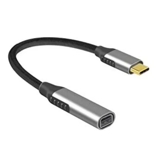 ZR125 Type-C Mini Dp Çevirici ürün görseli 1