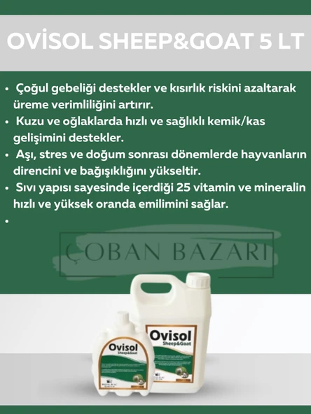 Royal İlaç Ovisol Sheep&goat Koyun ve Keçi Yem Katkısı 5 Lt ürün görseli 1