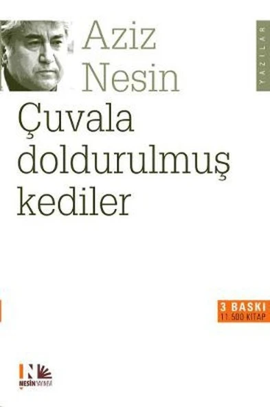 Çuvala Doldurulmuş Kediler ürün görseli 1
