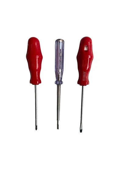 3 Lü Set Tornavida Yıldız 4x100,düz 4x100 Düz Kontrol Kalemi ürün görseli 1