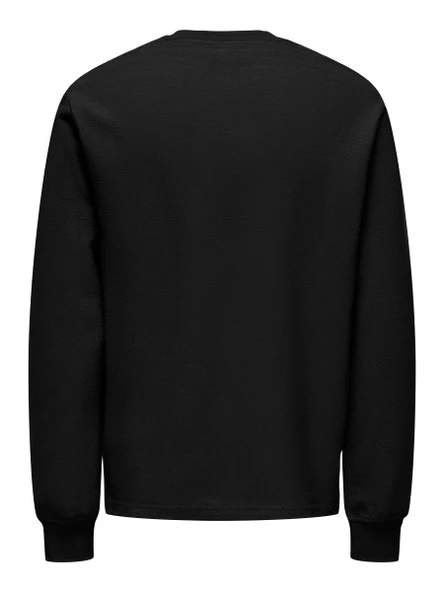 22029906 ONSTREVOR LIFE REGLS TEE - Resim 8