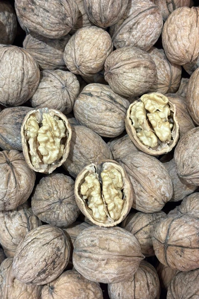 Denizli Kale Kabuklu Ceviz – %100 Doğal Yeni Sezon Hasadı (1 kg) ürün görseli 1