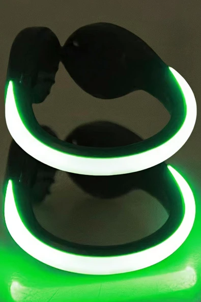 LED Yeşil Işıklı Ayakkabı Takılabilir Aksesuar ürün görseli 1