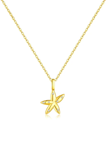 SeaStar Işıltılı Yıldız Minimal Kadın Gümüş Kolye ürün görseli 1