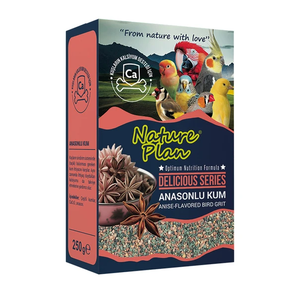 Nature Plan Delicious Serisi Anasonlu Kum 250gr Skt:09/2027 ürün görseli 1