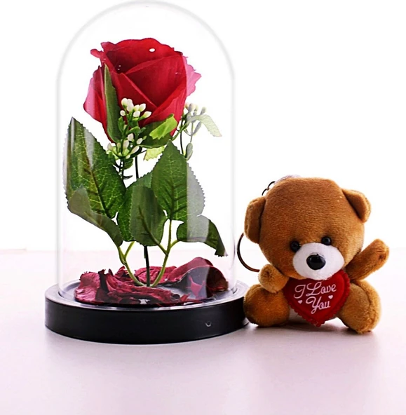 Fanusta LED Işıklı Kırmızı Gül ve Mini Ayıcık Set Sevgiliye Eşe Sürpriz Sevgiliye Hediye STRGLBL75 ürün görseli 1