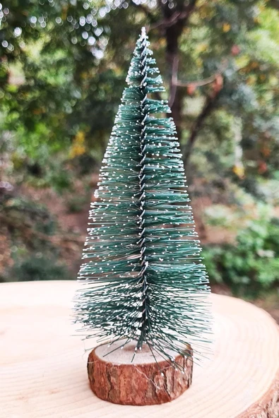 Çam Ağacı 15 Cm Yeni Yıl Mini Yılbaşı Noel Çam Ağacı Masa Üstü Süs Çam Ağacı 15 Cm ürün görseli 1
