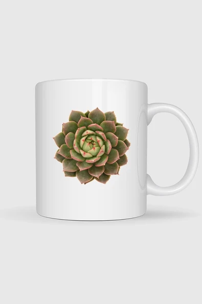Echeveria Etli Bitki Cactaceae Houseleek Tasarımlı Kupa Bardak ürün görseli 1