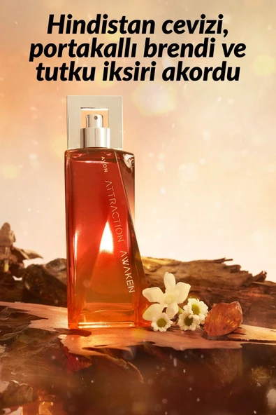ATTRAKTION AWAKEN AVON BAY - Resim 2