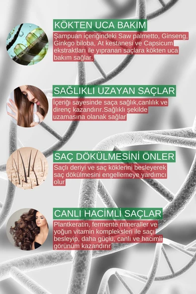 ZİGAVUS  TEKLİ 300 ML KURU SAÇLAR - Resim 2