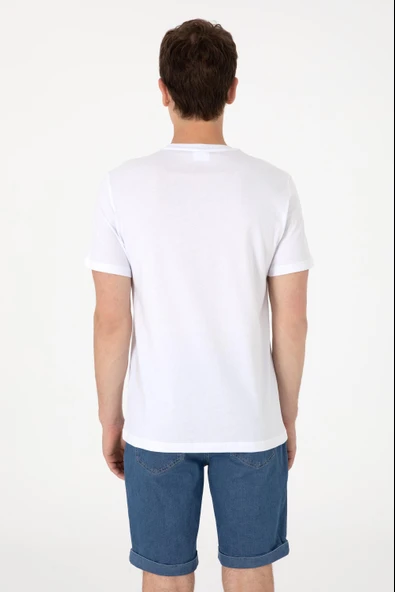 2109034 POLO T-SHIRT - Resim 9