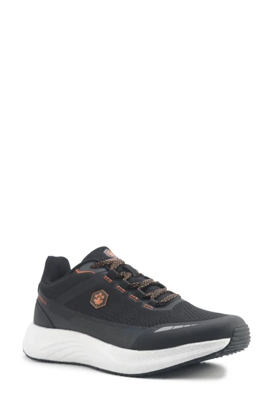 PTTAVM: 5M WILLY 5FX LUMBERJACK AYAKKABI