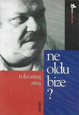 Ne Oldu Bize? Toktamış Ateş Çınar Yayınları ürün görseli 1