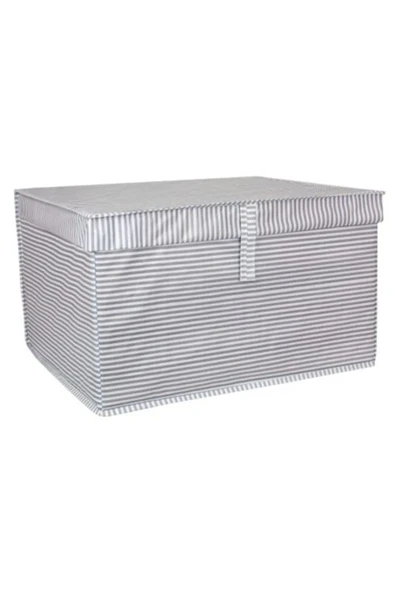 Alas Mini Çok Amaçlı Kutu 40x30x26 - Gri ürün görseli 1