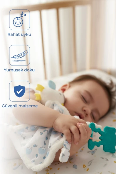 Babyjem 926 Birdy Diş Kaşıyıcılı + Silikon Emzik Hediyeli Uyku Arkadaşım Mavi  ürün görseli 1