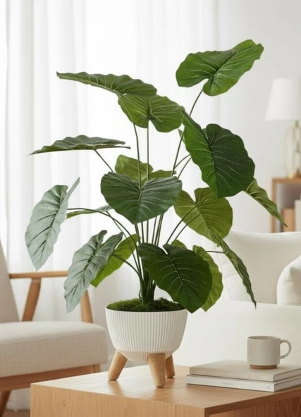 Yapay Çiçek Salon Bitkisi Pothos 70cm 18 Yaprak Beyaz Zigon Saksıda ürün görseli 1