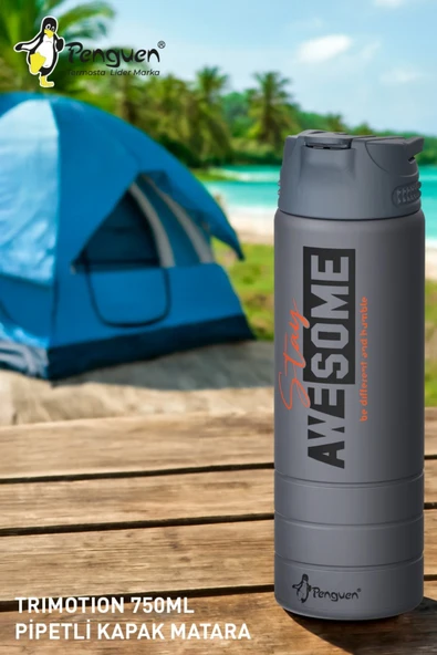 750ML Paslanmaz Çelik Su Matarası | Sızdırmaz Kapaklı | Pipetli | BPA Free | Dayanıklı ürün görseli 1