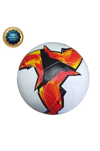 Janva Şampiyonlar Ligi Dragon Özel Tasarım Futbol Topu 400 gram Maç ve Antreman Topu ürün görseli 1