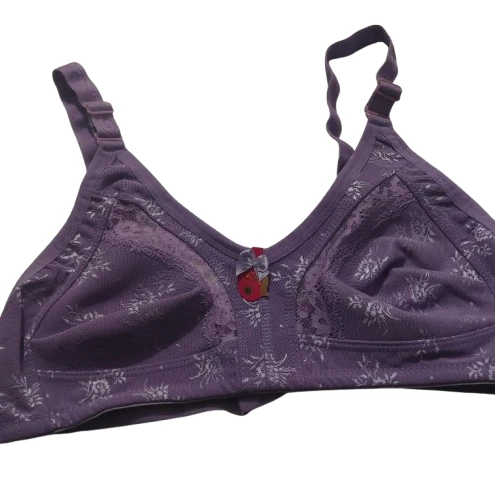 Liza 543 Yarı Dantelli Bayan Toparlayıcı Sütyen LİLA ürün görseli 1