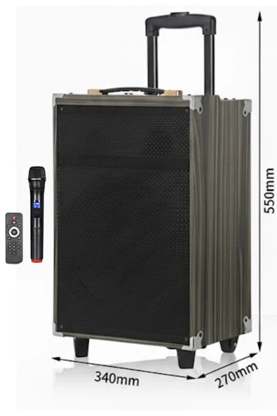 Hepu Hp-904 Partybox Bluetooth Hoparlör 12 Woofer 40W Güç 1 Kablosuz Mikrofon Kumanda ürün görseli 1