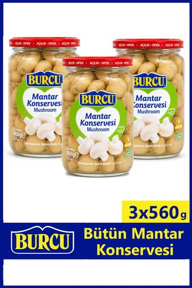 Burcu Bütün Mantar Konservesi 560 gr x 3 Adet ürün görseli 1
