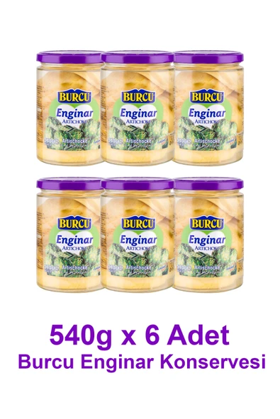 Burcu Enginar Konservesi 540 gramlık 6 adet ürün görseli 1