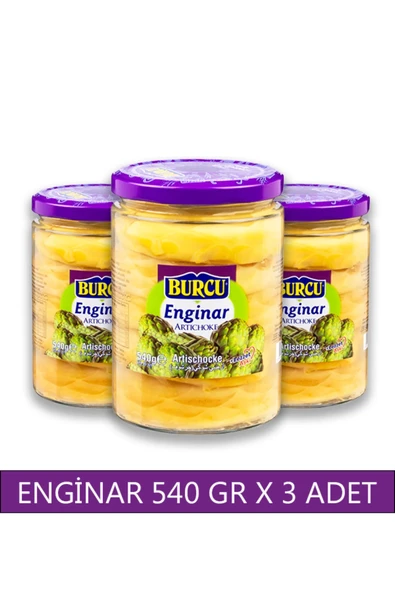 Burcu Enginar Konservesi 540 gr x 3 Adet ürün görseli 1