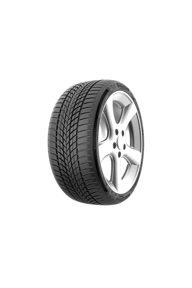 Milestone CarMile Winter 225/55 R17 101V Reinf. Kış Lastiği - 2025 ürün görseli 1
