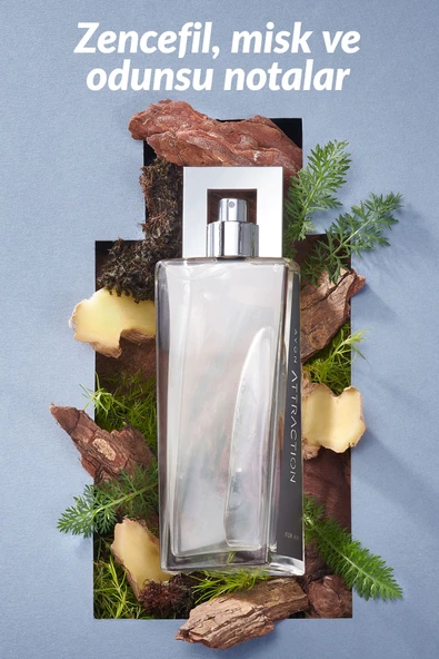 Attraction Erkek Parfüm Edt 75 Ml. - Resim 2