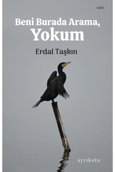 Beni Burada Arama, Yokum ürün görseli 1