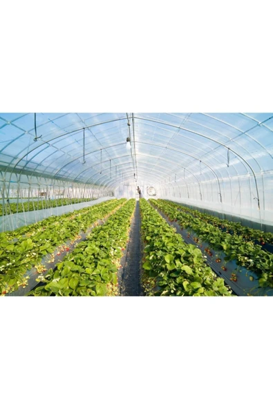 ÇİFTÇİ PLASMAR 8x16 36 Aylık Sera Naylonu 350 Mikron Branda Örtüsü Uv - Eva-ab Katkı Xömbx4 ürün görseli 1