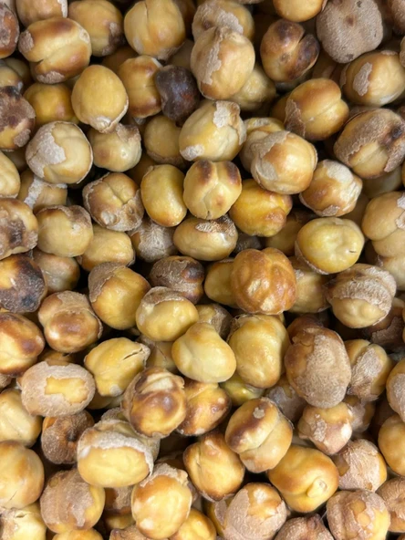 Öz Altın Kayısı Ağın Leblebi 1 KG ürün görseli 1
