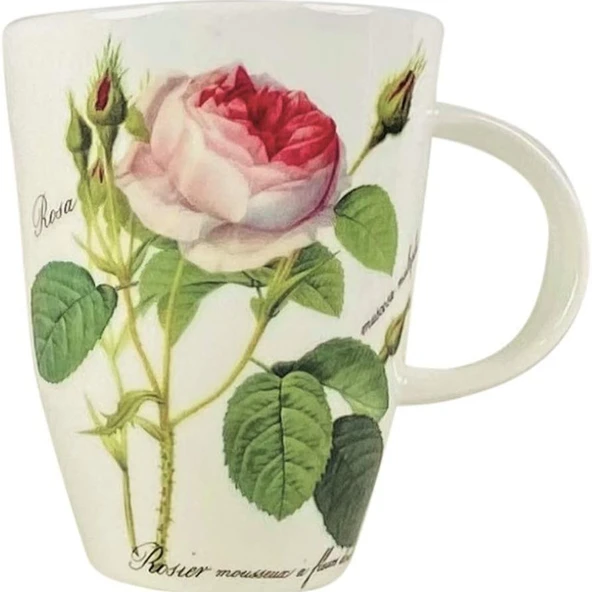 Roy Kirkham Redoute Roses Çiçek ve Gül Desenli Vintage İngiliz Kemik Porseleni Fine Bone China Zarif Kupa/Mug ürün görseli 1