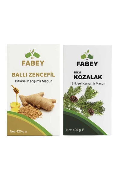 esfabey Neşe Natural Ballı Zencefil Macun + Selvi Kozalak Macunu ürün görseli 1