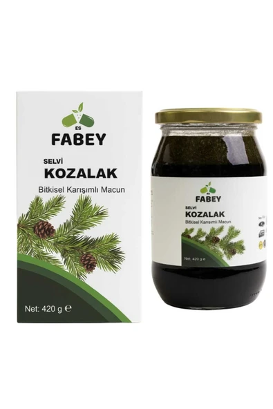 esfabey Selvi Kozalak Bitkisel Karışımlı Macun 420gr - Resim 3