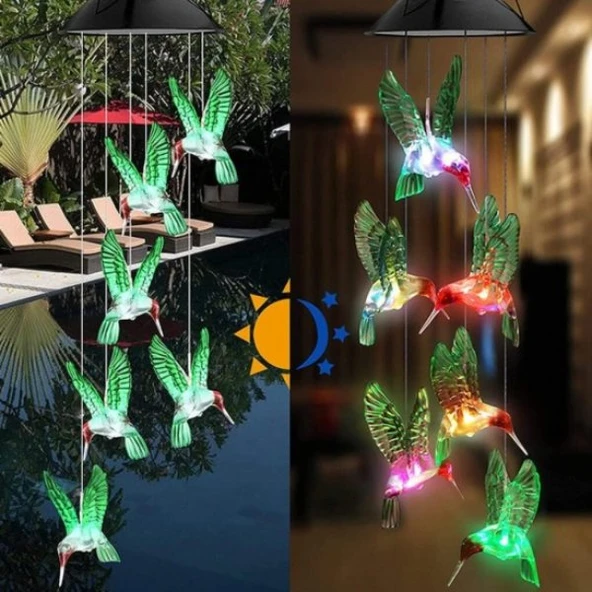 Solar Led Işıklı Kuşlu Bahçe Dekoru 6 Ledli,Renkli Işık ürün görseli 1