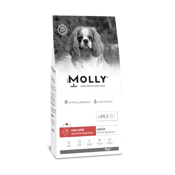 Molly Hipoalerjenik Düşük Tahıllı Kuzu Etli ve Yaban Mersinli Küçük Irk Yetişkin Köpek Maması 8 Kg ürün görseli 1
