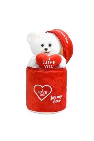 Pababo 140 Özel Kalpli (I LOVE YOU) Yazılı Sevimli Peluş Ayıcık - Peluş Çanta Içerisinde Sevgiliye ürün görseli 1