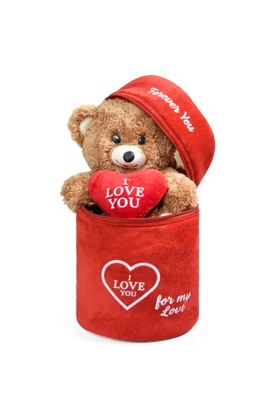 Özgüner Oyuncak 140 Özel Kalpli (I LOVE YOU) Yazılı Sevimli Peluş Ayıcık - Peluş Çanta Içerisinde Sevgiliye ürün görseli 1