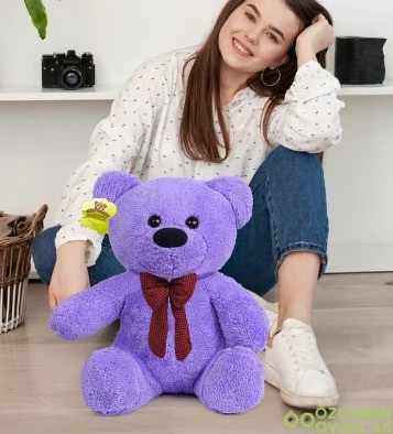Ayıcı Oyuncak Oyuncak Peluş Ayıcık50 cm Hediyelik Ayı ürün görseli 1