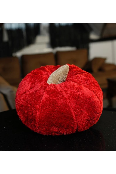 Harika Peluş Fabrikası Pabtex Dekoratif 50 Cm Pelüş Kabak Kırlent ürün görseli 1
