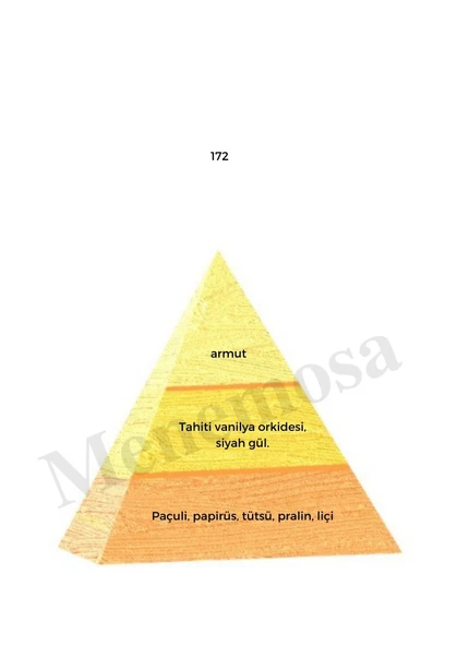 172 + 172 Kadın Parfüm Edp  Oriental - Mnms1722 - Resim 2