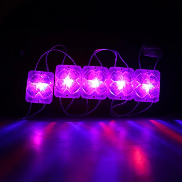 Powermaster PM-14717 12 Volt 2 Watt Karışık R+B Yanıp Sönen Çakar 4333-3030 Modül Led 43X33x28mm ürün görseli 1