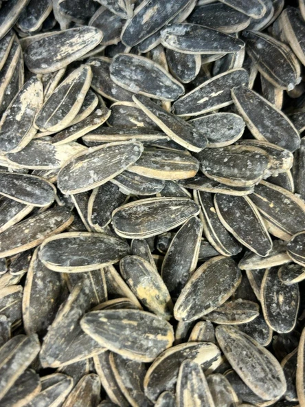 Öz Altın Kayısı Tuzlu Ay Çekirdeği  1 KG ürün görseli 1