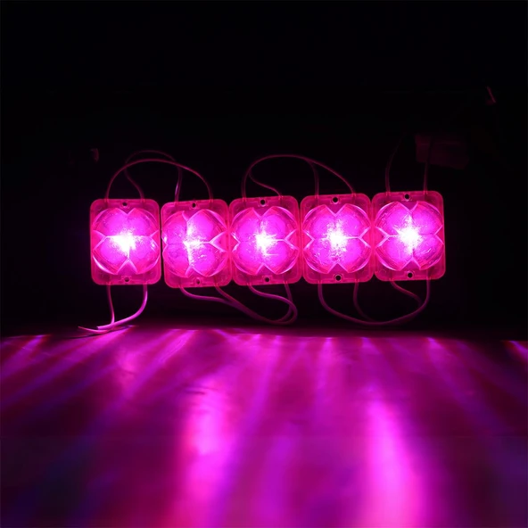 Powermaster PM-14716 12 Volt 2 Watt Pembe Yanıp Sönen Çakar 4333-3030 Modül Led 43X33x28mm ürün görseli 1