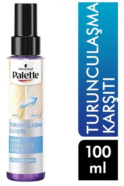 Palette Renk Düzeltici Sprey 100 Ml 4015100436860  Saç Kremi ürün görseli 1
