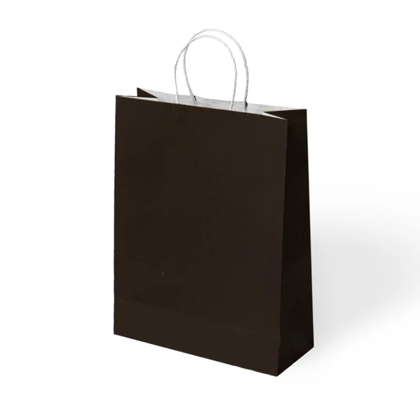 Büküm Saplı Kraft Kağıt Çanta Pakette 24 Ad. ürün görseli 1