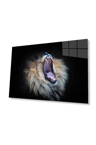 Aslan Cam Tablo 4mm Dayanıklı Temperli Cam ürün görseli 1