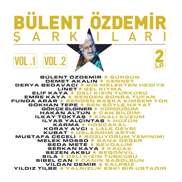 Bülent Özdemir Şarkıları Çeşitli Sanatçılar - 2 Plak ürün görseli 1